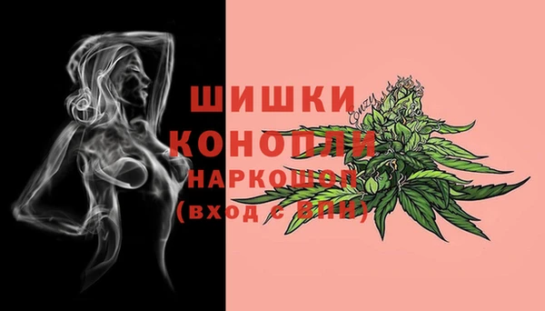 PSILOCYBIN Балахна