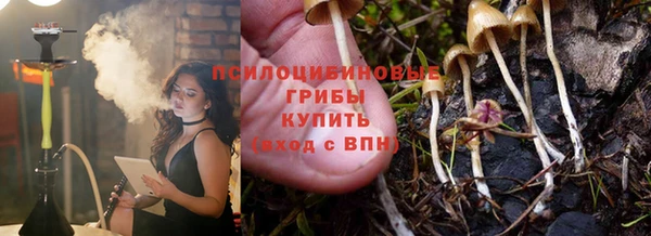 PSILOCYBIN Балахна