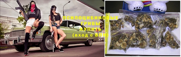 PSILOCYBIN Балахна