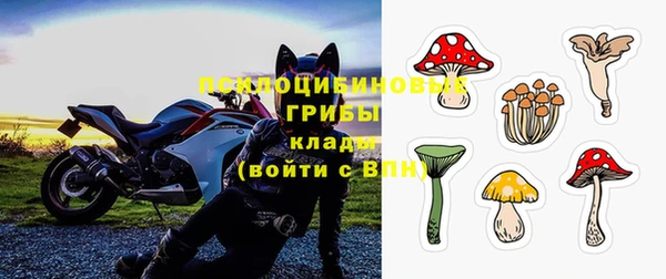 PSILOCYBIN Балахна